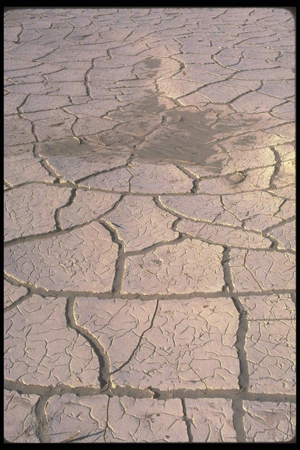 039076 Parched Clay Between Dunes A4 Photo Print