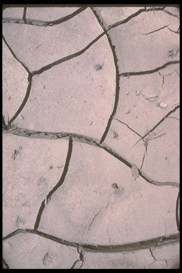 039077 Close Up , Dry Mud Flats A4 Photo Print