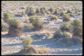 039078 Devil's Cornfield A4 Photo Print