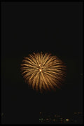 040031 Golden Flower A4 Photo Print