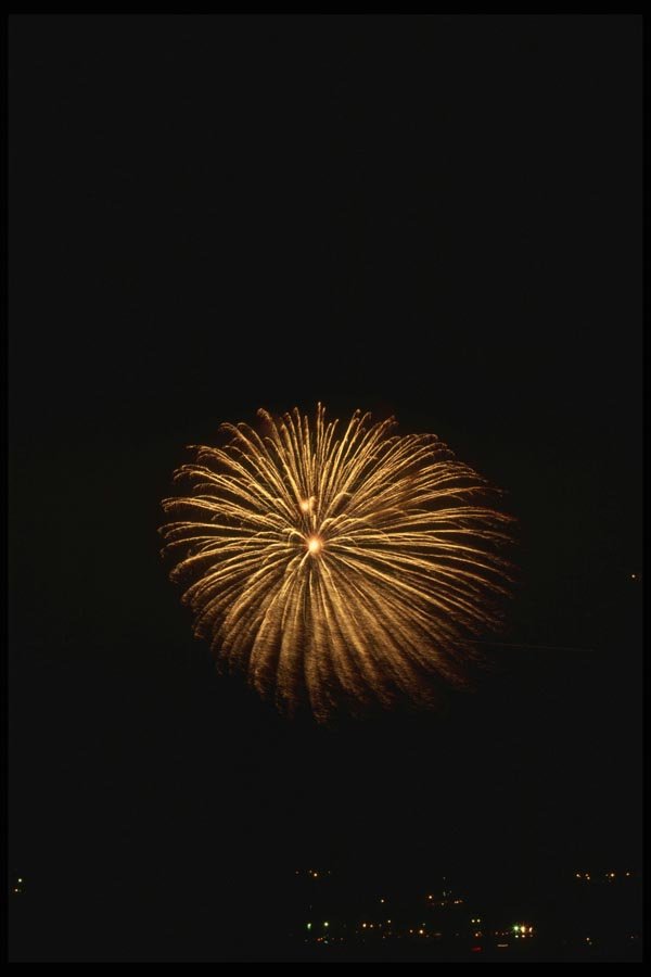 040031 Golden Flower A4 Photo Print