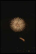 040032 White Flower A4 Photo Print