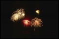 040037 Fiery Palm Trees A4 Photo Print