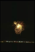 040047 Jungle Burst A4 Photo Print
