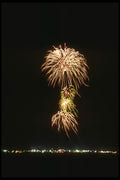 040053 Fiery Mushroom A4 Photo Print