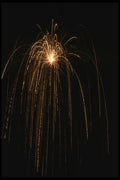 040057 Weeping Willow A4 Photo Print