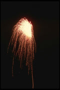 040058 Comet A4 Photo Print