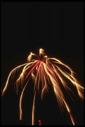 040066 Spider Of Light A4 Photo Print