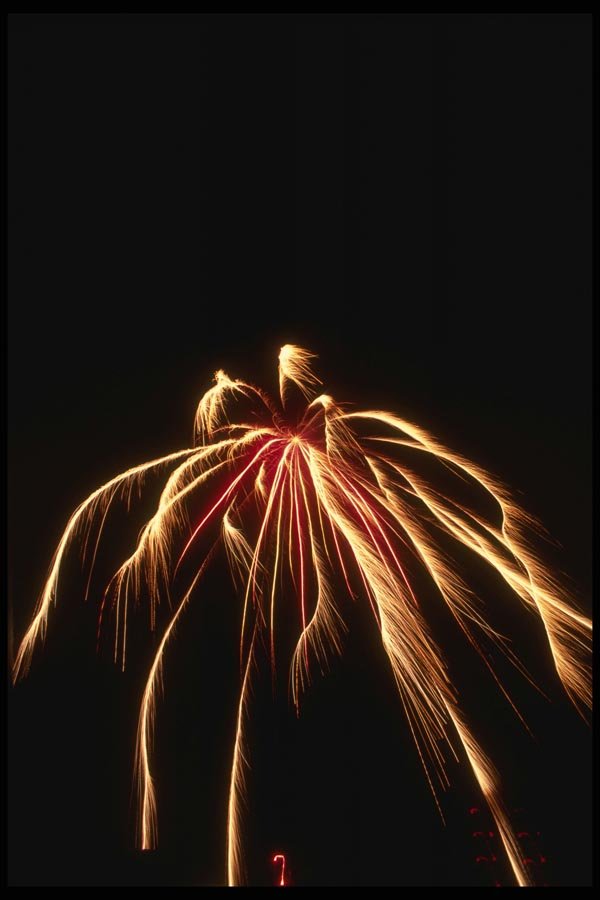 040066 Spider Of Light A4 Photo Print