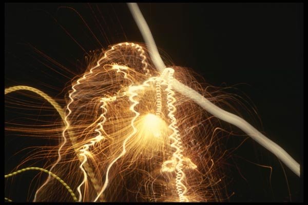 040077 Tracers A4 Photo Print