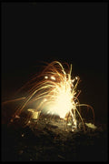 040083 Praying Mantis A4 Photo Print