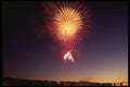 040095 Angel's Breath A4 Photo Print