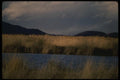 043095 Tule Lake A4 Photo Print