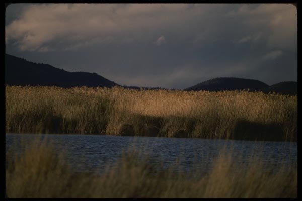 043095 Tule Lake A4 Photo Print