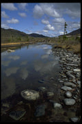 044021 Moose Creek A4 Photo Print