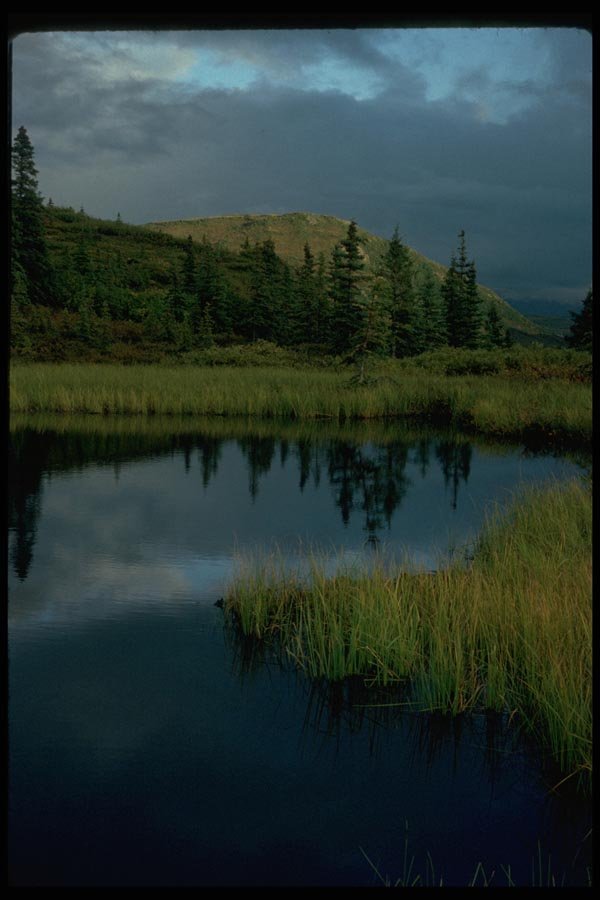 044024 Nugget Pond A4 Photo Print