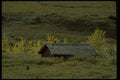 044027 North Face Cabin, Autumn A4 Photo Print