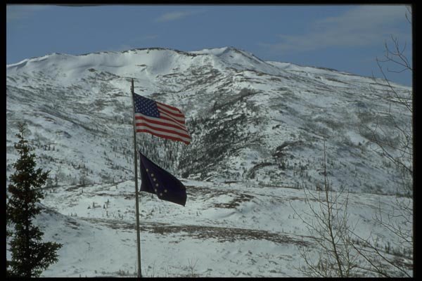 044040 Flags Of Usa And Alaska, Camp Denali A4 Photo Print