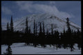 044046 Trees And Mountain, Winter A4 Photo Print
