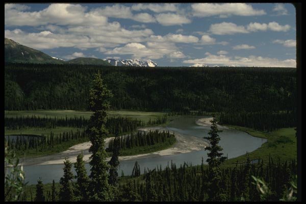 044052 Nenana River From The Denali Highway A4 Photo Print
