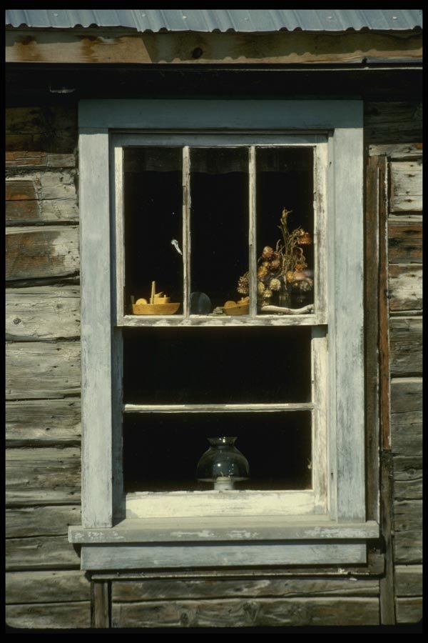 044076 Windows With Lamp And Dried Flowers A4 Photo Print