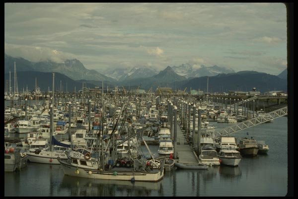 044078 Boats In The Harbor A4 Photo Print