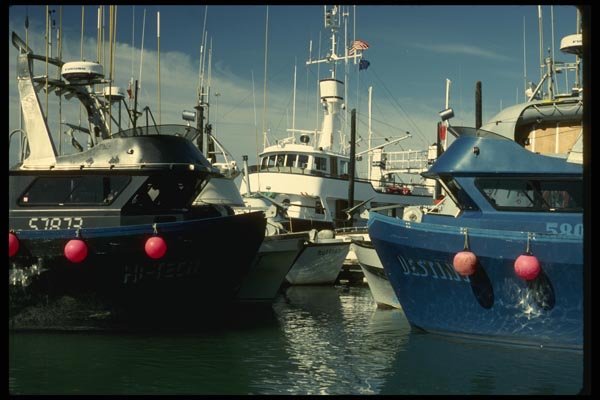 044079 Boats A4 Photo Print