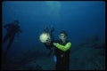 045033 Diver, Cabo San Lucas, Mexico A4 Photo Print