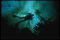045056 Diver, Kelp A4 Photo Print