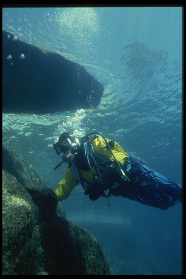 045095 Diver, Lake Taho A4 Photo Print