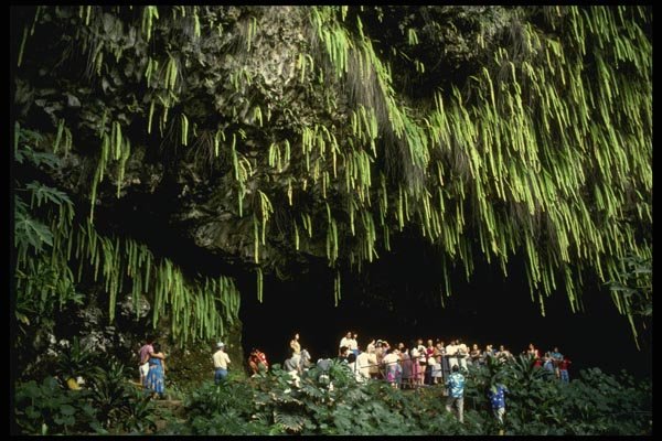 046019 Fern Grotto Kauai A4 Photo Print