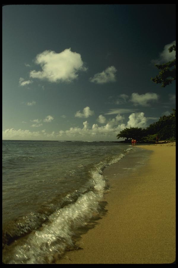 046026 Beach At Princeville Kauai A4 Photo Print