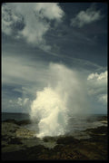 046031 Sprouting Horn Kauai A4 Photo Print