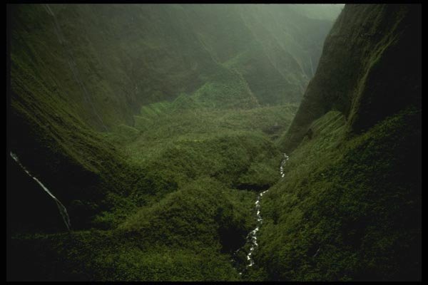 046032 Wettest Spot On Earth (365 Days Of Rain) Kauai A4 Photo Print