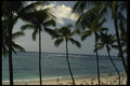 046050 Waikiki Beach Oahu A4 Photo Print