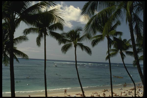 046050 Waikiki Beach Oahu A4 Photo Print