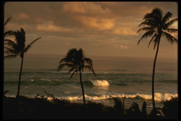 046054 Kuilima Point Oahu A4 Photo Print