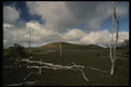 046074 Devastation Area Kiluaea Volcano, Hawaii A4 Photo Print