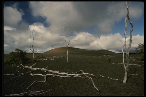 046074 Devastation Area Kiluaea Volcano, Hawaii A4 Photo Print