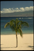 046076 Mauna Lani Point Beach Hawaii A4 Photo Print