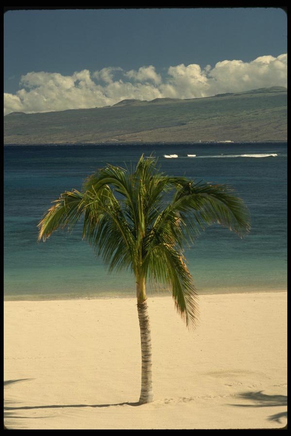 046076 Mauna Lani Point Beach Hawaii A4 Photo Print