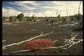 046077 Devastation Area Kiluaea Crater, Hawaii A4 Photo Print