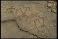 046086 Waikoloa Petroglyph Field Hawaii A4 Photo Print
