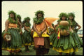 046096 May Day Hula Contestants Princeville, Kauai A4 Photo Print
