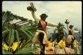 046098 May Day Hula Contest Princeville, Kauai A4 Photo Print