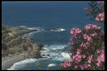 047133 Banana Plantations, Turquoise Coast, Gazipasa A4 Photo Print