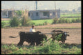 047160 Farmer Near Gazipasa A4 Photo Print