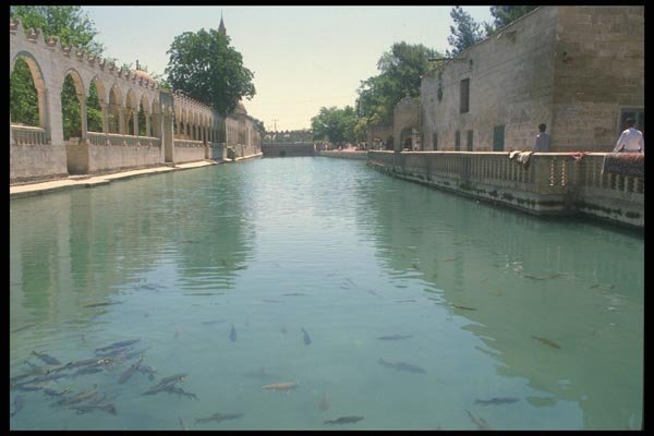 047162 Fish Pool Sanliurfa A4 Photo Print