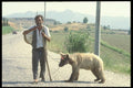 047165 A Man And Bear, Turquoise Coast A4 Photo Print