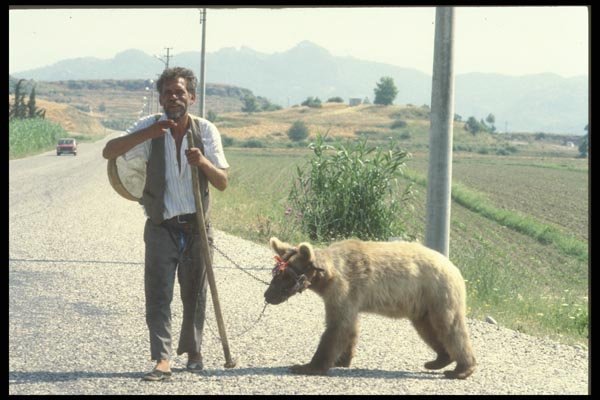 047165 A Man And Bear, Turquoise Coast A4 Photo Print